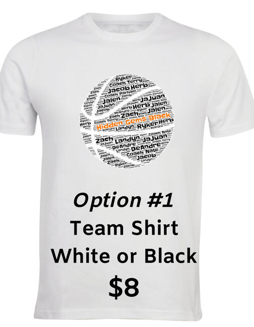 Option 1